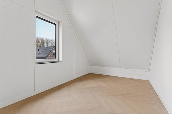 49-Moerasorchidee 13 - Lelystad.jpg